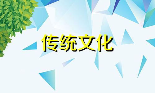 办公室富贵竹摆放风水好吗