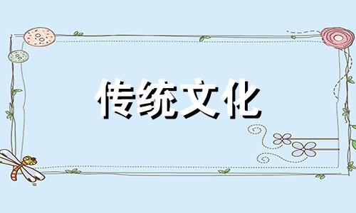 旺财的家居风水植物有哪些