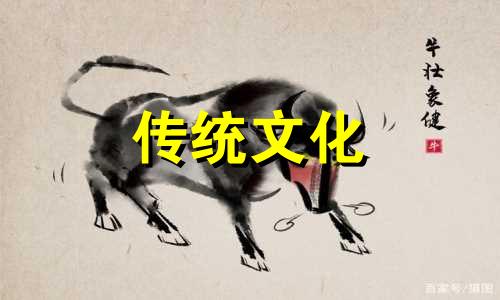 办公室书柜摆放风水禁忌是什么
