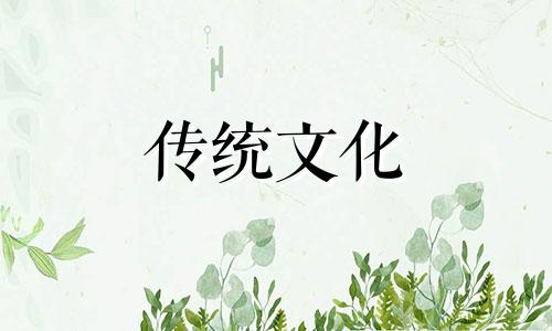 铜钱草的风水作用及其位置摆放