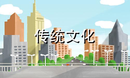 发财树风水摆放位置图 发财树风水摆放禁忌