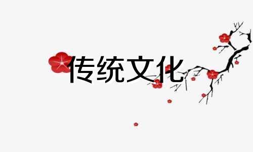 君子兰的风水作用禁忌 君子兰的风水作用与禁忌