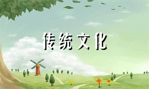 别墅游泳池的风水讲究是什么
