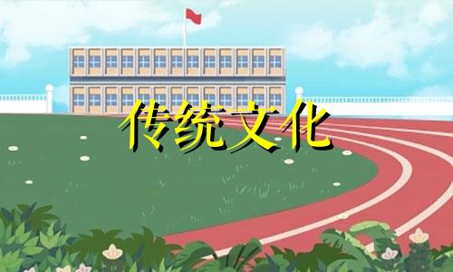 公司植物摆放风水好吗 公司摆放绿植有什么禁忌