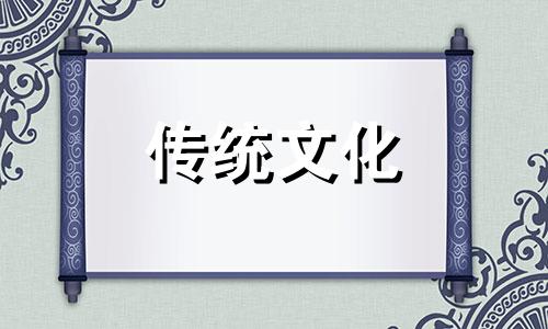 厨房放什么植物风水好又招财聚财