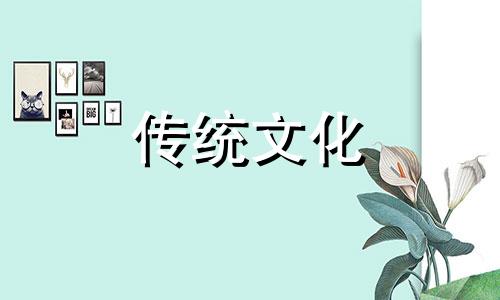 女子纯阳八字婚姻怎么样啊