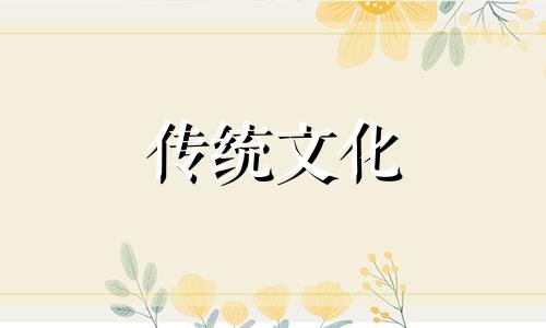 进门摆什么绿植风水好一点
