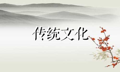 哪些人最适合养狗养猫 哪些人适合养狗狗