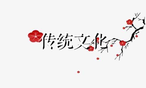 十二地支含义所有,秘法不传
