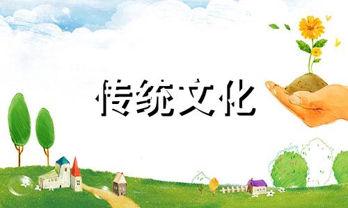 女八字中伤官是不是不好命