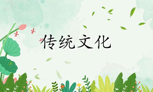 亥时出生者命运命理分析详解
