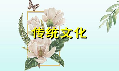 怎么看八字里能不能当明星