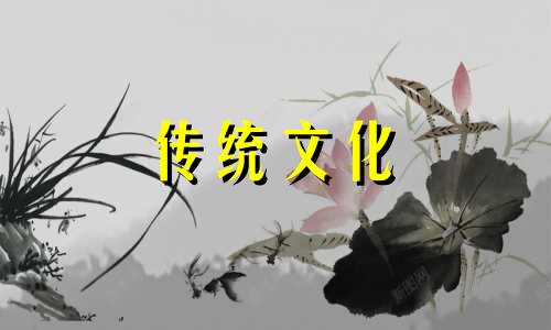 为什么挖到太岁会死人知乎