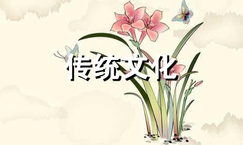 金木水火土命查询表图1988