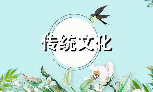 傻子的八字是什么样的特征