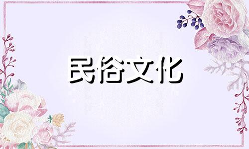 属猪的人如何应对骗子（属猪的人遇到骗子的应对策略）