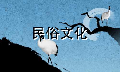 推荐100分的清新姓牟女孩名字