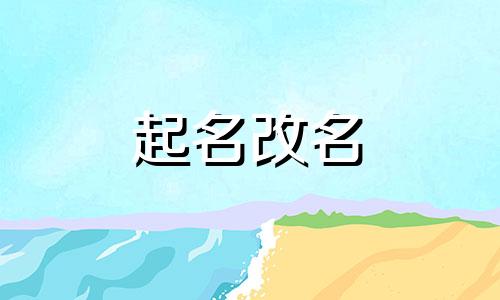 给猫咪起名字哪些能取哪些不能取
