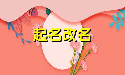 林业公司起名有哪些字母开头好听
