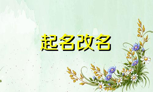 窗帘起名大全高端大气名字有哪些