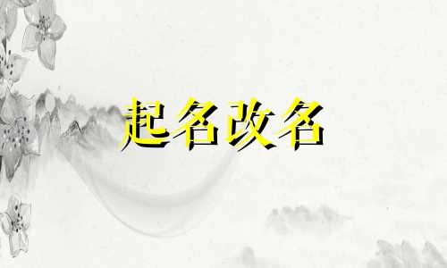 瓷器品牌起名大全参照字典有哪些