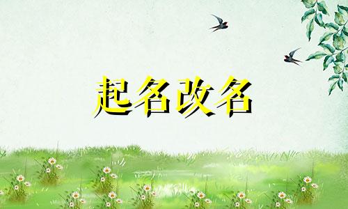 公司起名商贸和装饰还有哪些名字