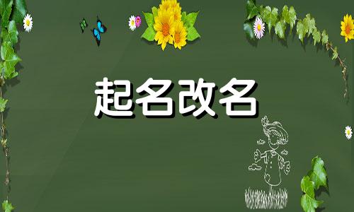 公司起名软件免费取名网站有哪些