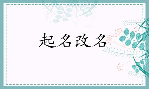 财税咨询公司起名参考哪些内容好