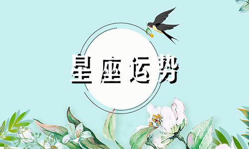 十二星座狡猾的程度指数各为多少