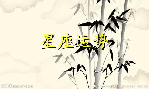 12 星座的婚纱裙多少钱