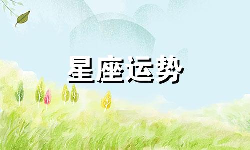 元气骑士里的星座皮肤要多少宝石