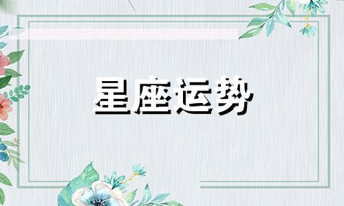 双子和十二星座的配对指数是多少