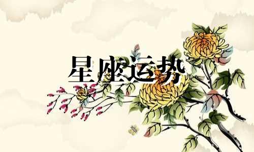 金牛座和十二星座相配指数是多少