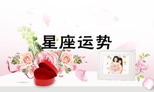 陶白白星座走出情伤需要多少时间