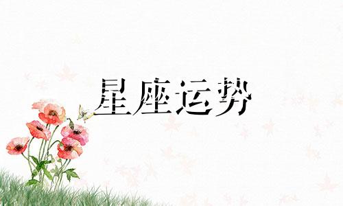 欧米茄星座系列女表机械表多少钱