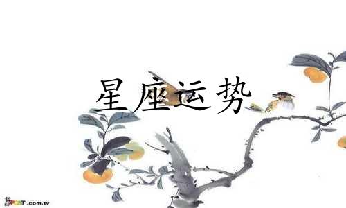 金牛和天秤星座配对指数是多少啊