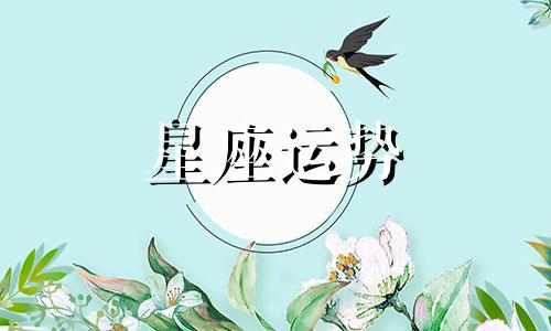 光遇从开始到现在一共有多少星座