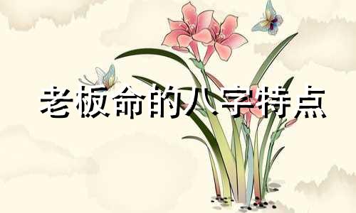 老板命的八字特点 老板命好吗