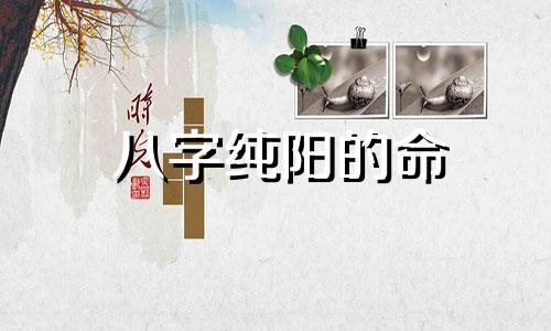 八字纯阳的命 八字纯阳的人命运是好是坏