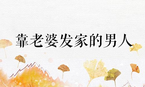 靠老婆发家的男人 靠妻子发家的富豪