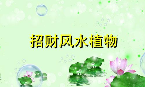 招财风水植物 ?招财风水植物图片大全