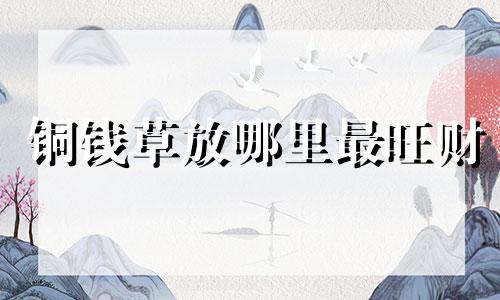 铜钱草放哪里最旺财 铜钱草放哪里风水好