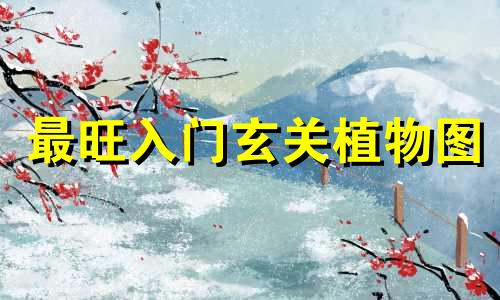 最旺入门玄关植物图 最旺入门玄关植物佛珠吊兰