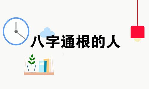 八字通根的人 八字通根怎么看