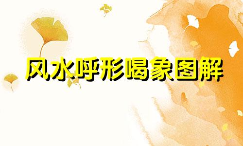 风水呼形喝象图解 风水呼形喝象书籍