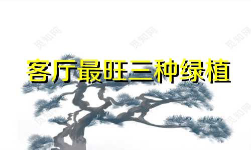 客厅最旺三种绿植 客厅的财位放什么花最招财