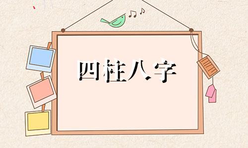 四柱八字 华盖 四柱八字华盖算法