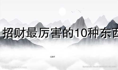 招财最厉害的10种东西 家里财位放水好不好