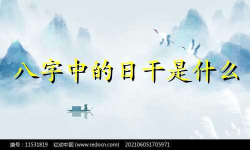 八字中的日干是什么 八字日干日支查询