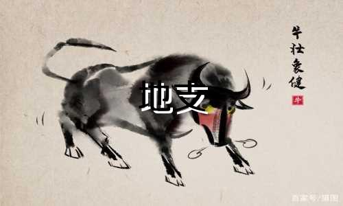 地支 午火 午火地支意象